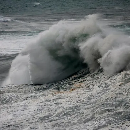 Appartement Wave