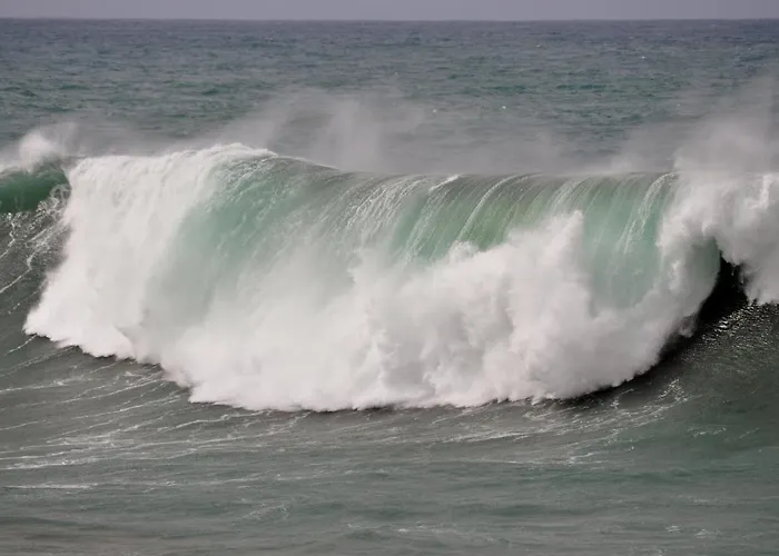 Wave *