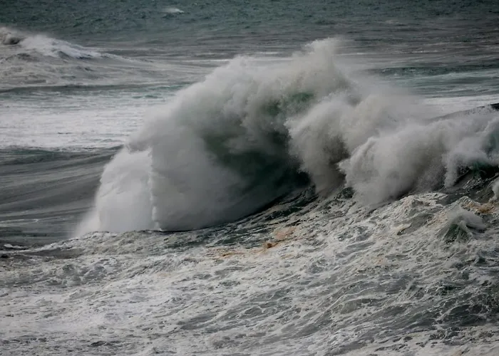 Apartament Wave
